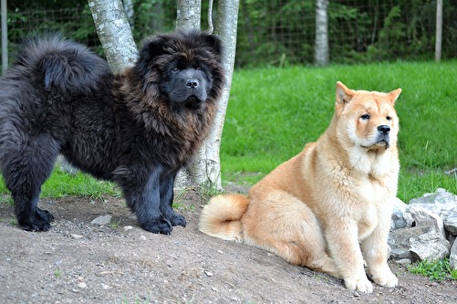 Hera och Hera och