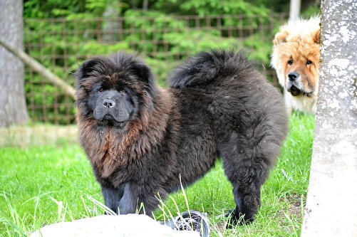 Hera och Roffe Hera och Roffe