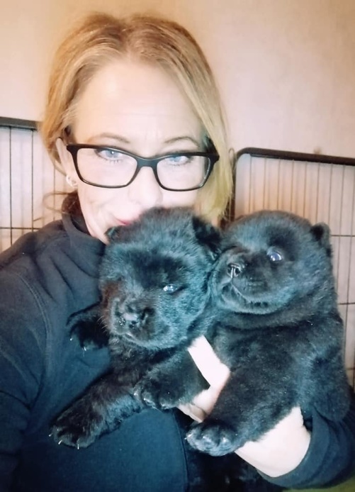 Hanvalpen till vänster och tikvalpen till höger Hanvalpen till vänster och tikvalpen till höger