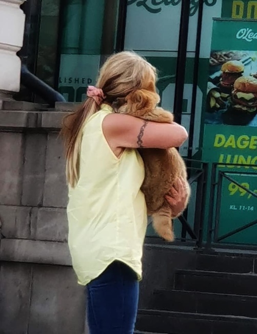 När jag hämtade "min" lilla valp som hade annonserats ut på Blocket. När jag hämtade "min" lilla valp som hade annonserats ut på Blocket.