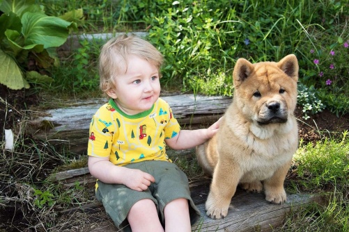 Så fin bild. Jag älskar den. Detta är Scooby hos sin nya familj. Så fin bild. Jag älskar den. Detta är Scooby hos sin nya familj.