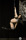 BattleOfThePole2016_CH_11