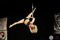 BattleOfThePole2016_CH_155