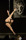 BattleOfThePole2016_CH_241