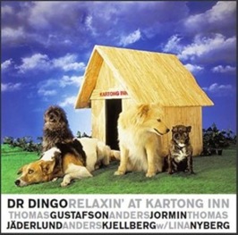 Dr DINGO