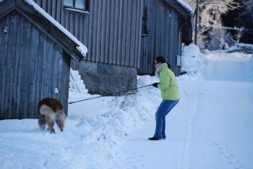 Max - det är halt! Max - det är halt!