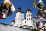 På kursen visade läraren oss ett alternativ som hette bildcollage, men den hittade jag naturligtvis inte nu På kursen visade läraren oss ett alternativ som hette bildcollage, men den hittade jag naturligtvis inte nu