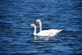 På väg ut till Öckerö På väg ut till Öckerö