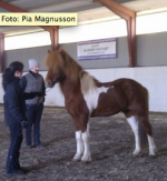 Foto: Pia Magnusson Foto: Pia Magnusson
