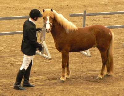 Vaki från Österåker, foto Christina Rohdin-Alm Vaki från Österåker, foto Christina Rohdin-Alm