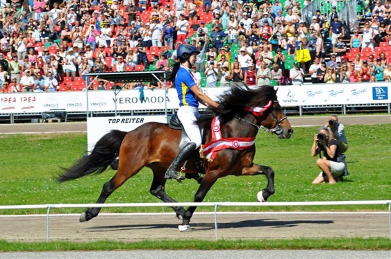 Svenskavlade Mökkvi från Åleby och young rider Moa Runnquist fick både guld och bronsmedalj. Mökkvi är e Hrafnfaxi frá Vestra-Geldingaholti. Svenskavlade Mökkvi från Åleby och young rider Moa Runnquist fick både guld och bronsmedalj. Mökkvi är e Hrafnfaxi frá Vestra-Geldingaholti.