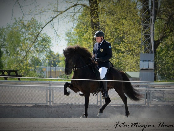 Viking från Österåker med Vignir, ridegenskaperna höjdes till 9,07 och exteriören höjdes till 8,35 så totalt blev det 8,78! Foto Mirjam Horn Viking från Österåker med Vignir, ridegenskaperna höjdes till 9,07 och exteriören höjdes till 8,35 så totalt blev det 8,78! Foto Mirjam Horn