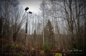 Camp Högbyn2