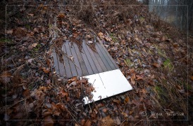 Camp Högbyn6