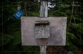 Camp Högbyn7