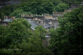 Roof of Edinburgh...