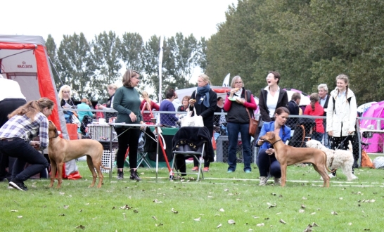 Bellnodie A Pride Of My Heart Joy "Thyra" BOS puppy at Copenhagen Winner Show-17