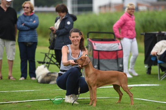 Bellnodie A Pride Of My Heart Joy "Thyra" BIS-4 at her first show