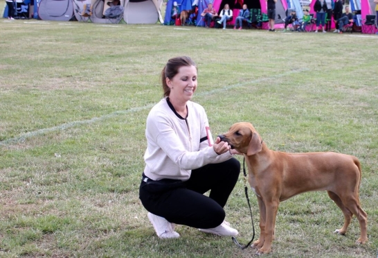 Bellnodie A Pride Of My Heart Lee "ROCKY" BOS in pet class