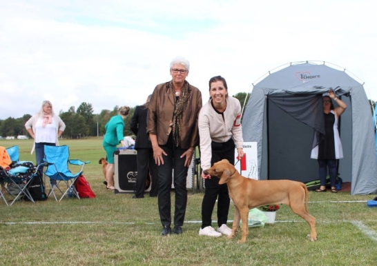 Bellnodie A Pride Of My Heart Lee "ROCKY" BOS in pet class