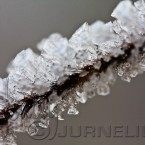 20091203_frost_0053
