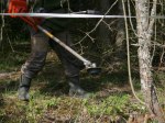Klingan sjunger sin röjarsång och lämnar ordning och reda efter sig. Klicka på bilden för att se den i större format! Klingan sjunger sin röjarsång och lämnar ordning och reda efter sig. Klicka på bilden för att se den i större format!