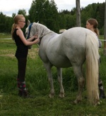 Wilma och Frida badar Iris. Ponnyn Iris är tålig och verkar njuta av behandlingen. De är duktiga hästtjejer som pysslar om hästarna! Wilma och Frida badar Iris. Ponnyn Iris är tålig och verkar njuta av behandlingen. De är duktiga hästtjejer som pysslar om hästarna!