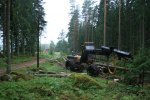 Det luktar gott när man arbetar i skogen! Barndomens dofter gör sig påminda. Så luktade pappa när han kom hem från skogen! Klicka på bilden för större format. Det luktar gott när man arbetar i skogen! Barndomens dofter gör sig påminda. Så luktade pappa när han kom hem från skogen! Klicka på bilden för större format.