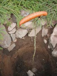 Varggropen i Katthult där Emil i Lönneberga lockade ner Kommandoran med en riktigt god körv! Bild lånad från www.katthult.se Varggropen i Katthult där Emil i Lönneberga lockade ner Kommandoran med en riktigt god körv! Bild lånad från www.katthult.se