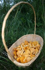 Korgen blev nästan full på Arinas kissrunda... Klicka på bilden för att njuta av läckerheterna i full storlek! Korgen blev nästan full på Arinas kissrunda... Klicka på bilden för att njuta av läckerheterna i full storlek!