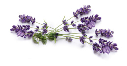 Lavendel doftpulver för dammsugare