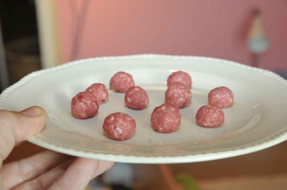 One mini meatball for each puppy!