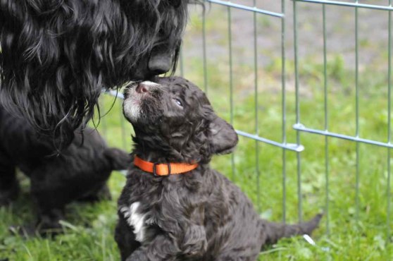 Nose to nose with mummy!