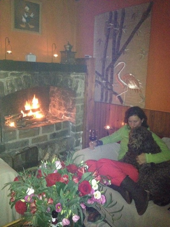 Moët and I enjoying the fireplace together