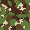 Kamoflagefärger.