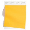 Pantone-Fashion-Color-Trend-Report-New-York-Spring-Summer-2022-Article-Daffodil