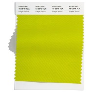 Pantone-Fashion-Color-Trend-Report-London-Spring-Summer-2022-Article-Fragile-Sprout