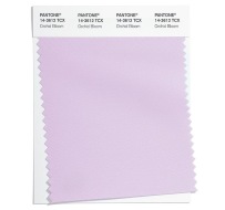 Pantone-Fashion-Color-Trend-Report-London-Spring-Summer-2022-Article-Orchid-Bloom