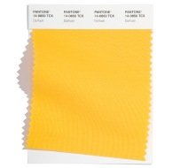 Pantone-Fashion-Color-Trend-Report-New-York-Spring-Summer-2022-Article-Daffodil