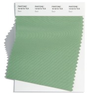 Pantone-Fashion-Color-Trend-Report-New-York-Spring-Summer-2022-Article-Basil