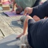 borstahusenyoga