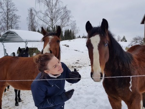Hästar är bäst ;)