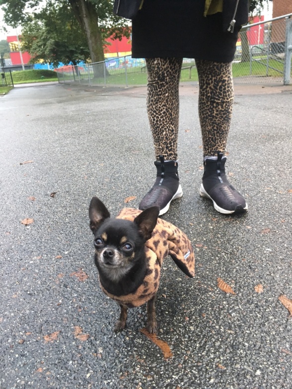 Jannice Kindsjö och min lilla hund Betty passade på att matcha lördags-outfiten. Jannice Kindsjö och min lilla hund Betty passade på att matcha lördags-outfiten.