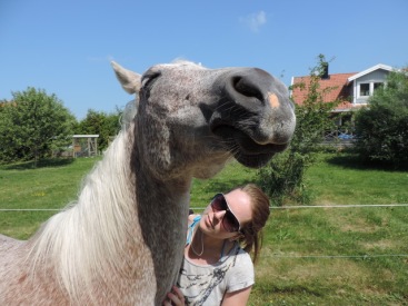 Vår hästexpert Emelie med en häst som riktigt njuter!
