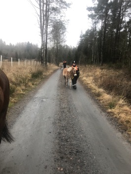 Båda ponnysarna på promenad. Båda ponnysarna på promenad.