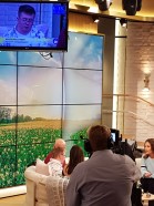 TV4 bild 1
