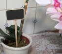 Griffelskylt till blomma Griffelskylt till blomma