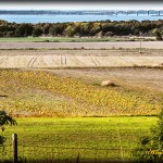 Klas_Pumpaoodling Öland