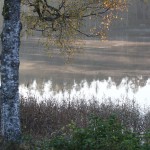Martti_3