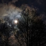 Joahim_ Månen visar sig mellan träden